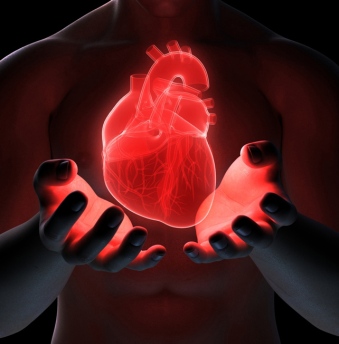 cardiothoracic